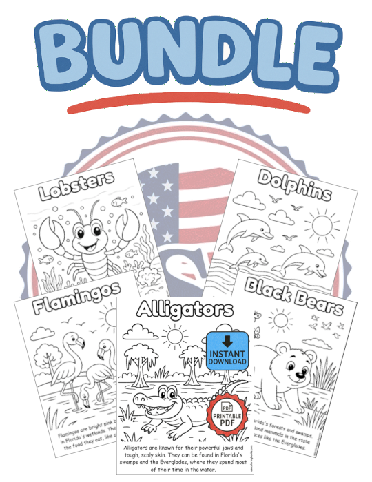 Florida animals bundle printable coloring pages