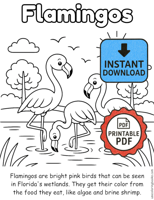 Flamingo printable coloring page sample